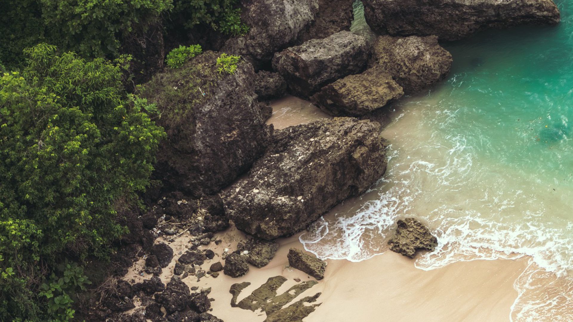 Paseos y Excursiones